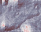 lsm image browser