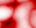 lsm image browser